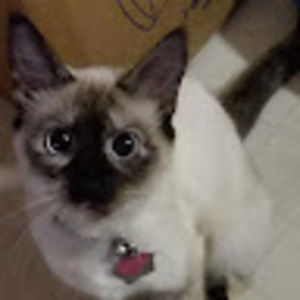 Meet your Posher, Angela